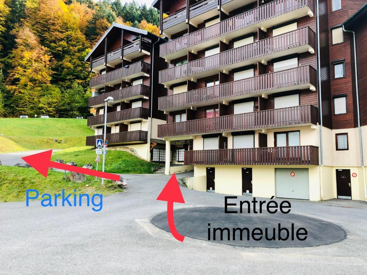 Saint-Jean-dʼAulps Studio 4 Personnes A 80M Des Pistes De Ski מראה חיצוני תמונה