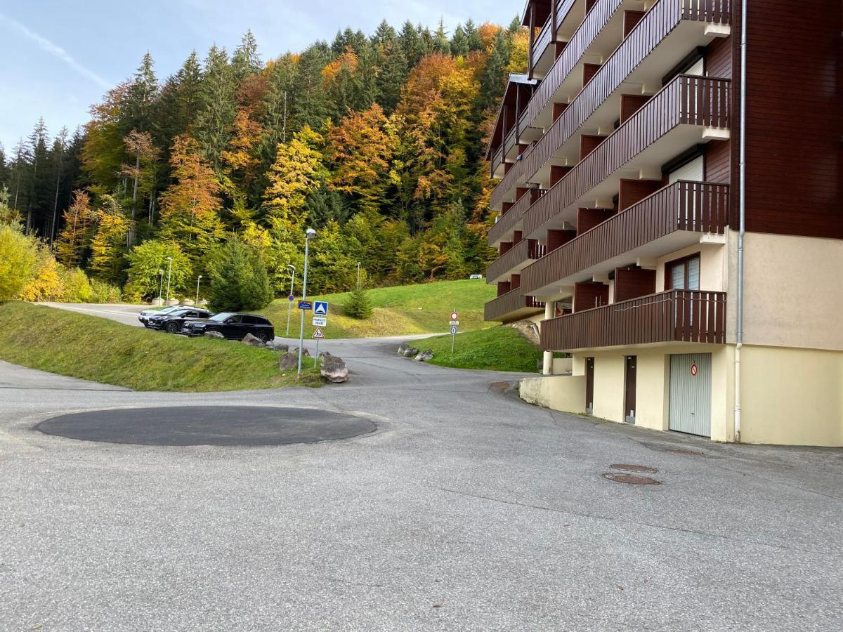 Saint-Jean-dʼAulps Studio 4 Personnes A 80M Des Pistes De Ski מראה חיצוני תמונה